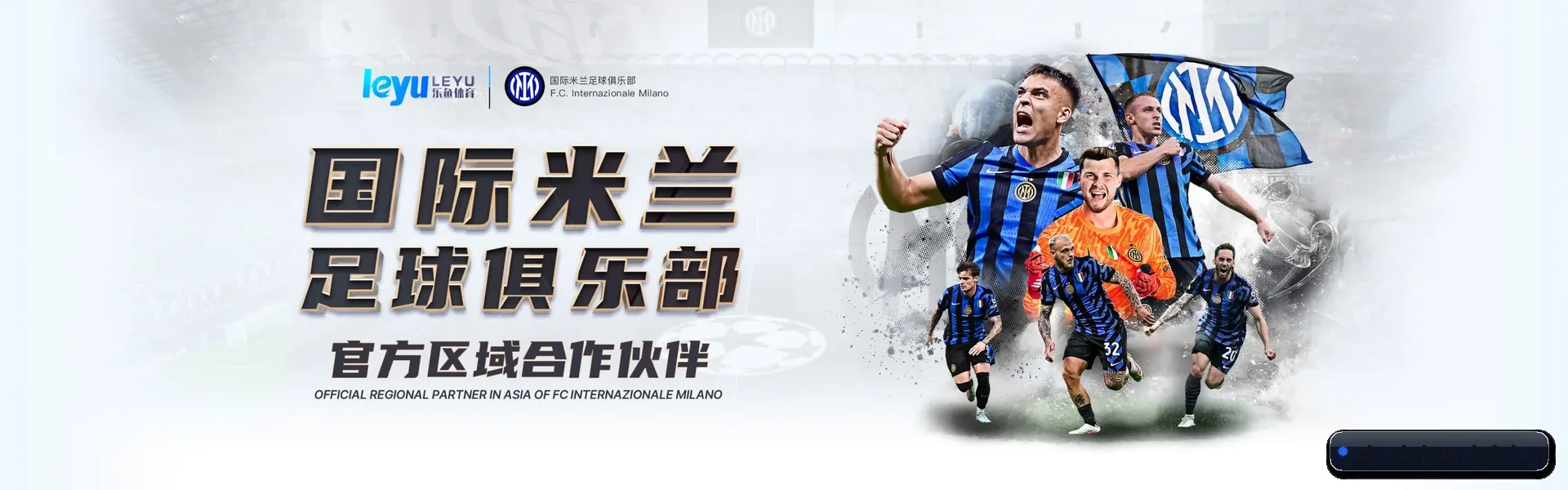 全流程比赛陪伴, 观赛有依据